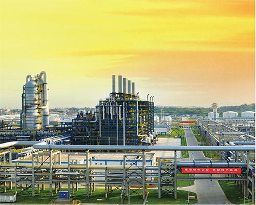 福建联合石化项目